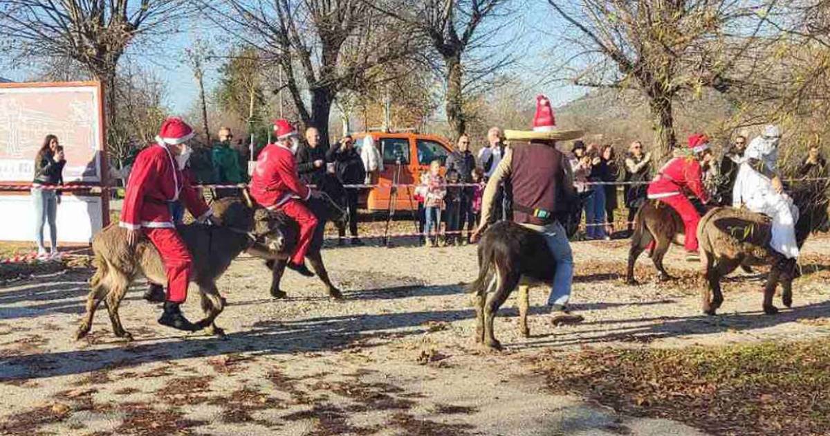 urtka magaraca capljina