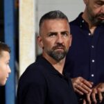 vedad ibisevic