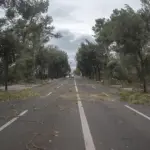 Jak vjetar