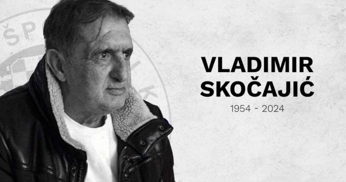 vladimir skocajic
