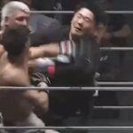 borba rizin