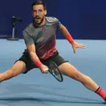 damir dzumhur