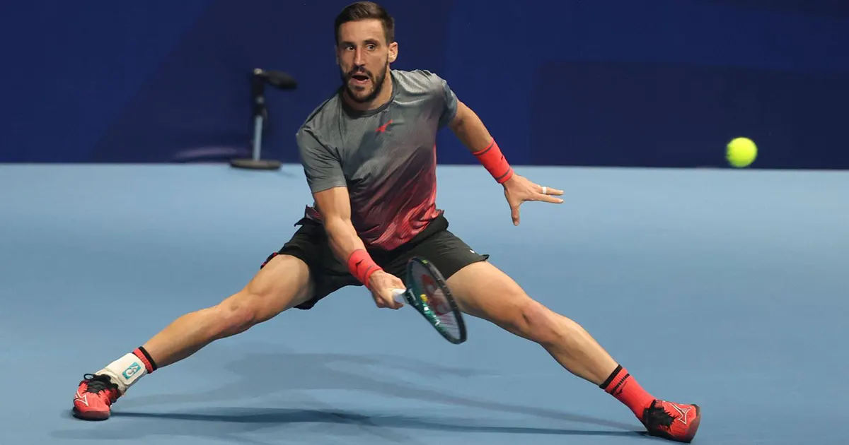 damir dzumhur