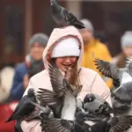 golubovi sarajevo turisti vrijem