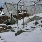 snijeg poljoprivrednici