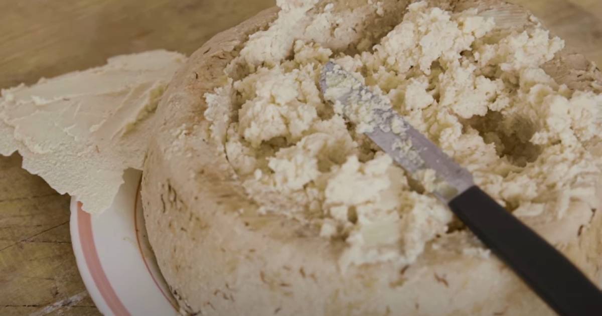 casu marzu sir crvi