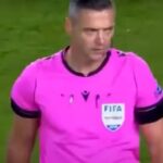 damir skomina