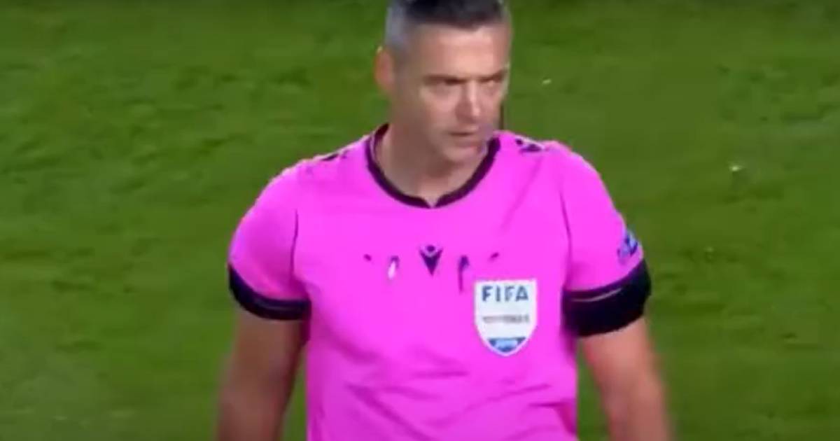 damir skomina