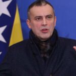 darko babalj