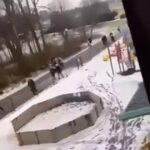 pucnjava svedska skola