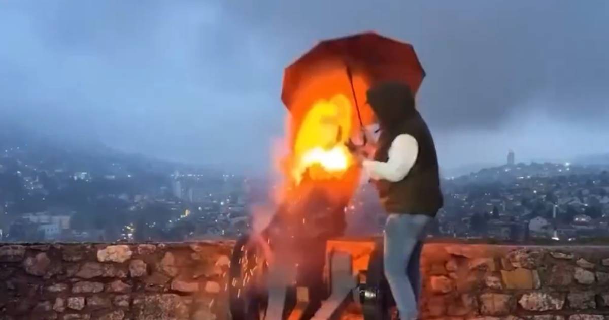 top zuta tabija
