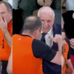 zeljko obradovic sudije