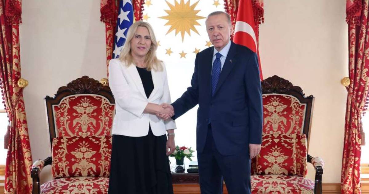 cvijanovc erdogan