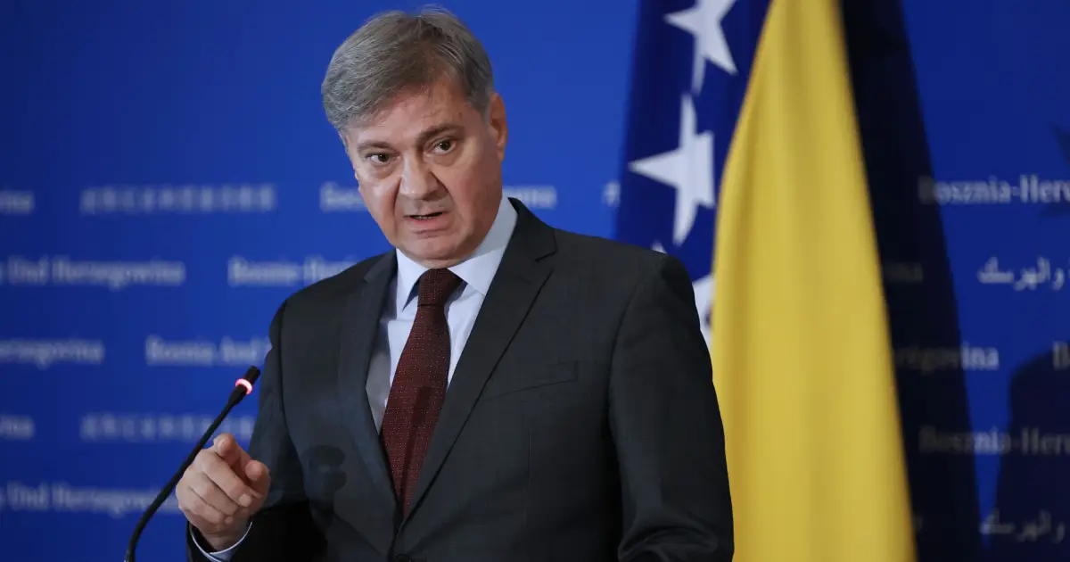 denis zvizdić