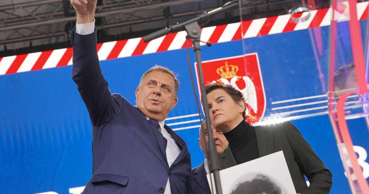 dodik brnabić