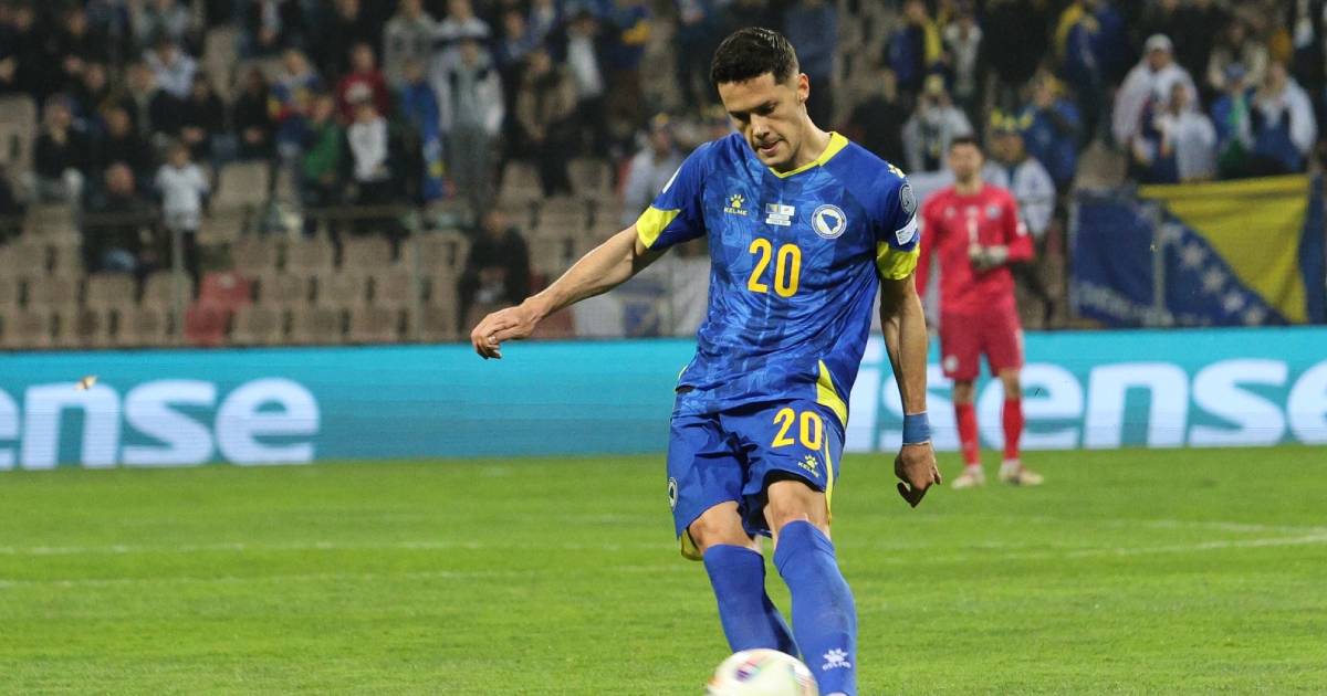 haris hajradinovic