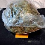 marihuana kanabis