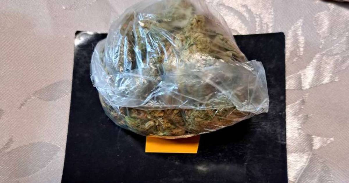 marihuana kanabis
