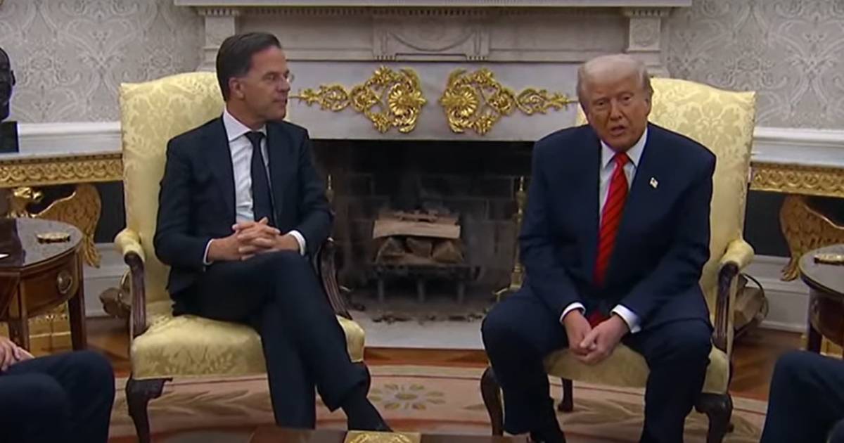 mark rutte trump