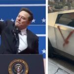 musk tesla svastika