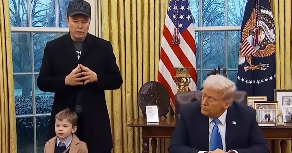 musk trump