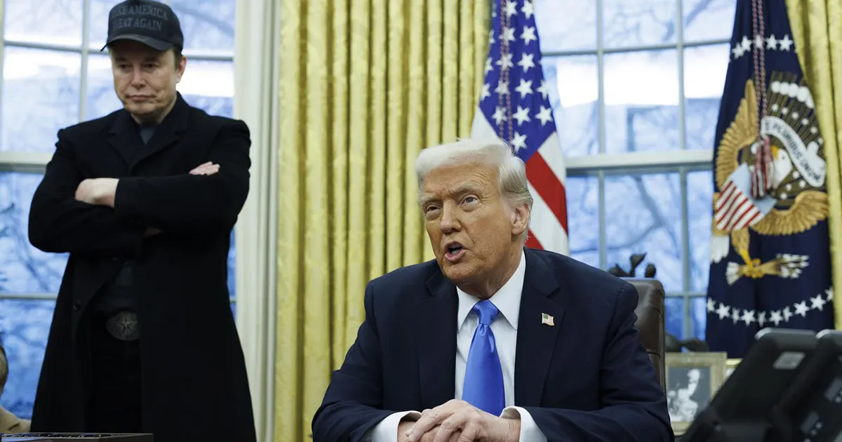 trump musk