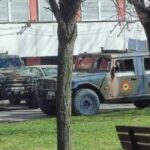 vozila eufor