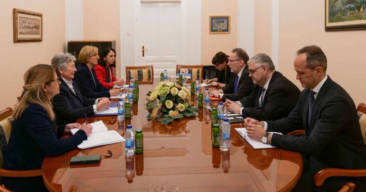 williamson palavric ustavni sud bih