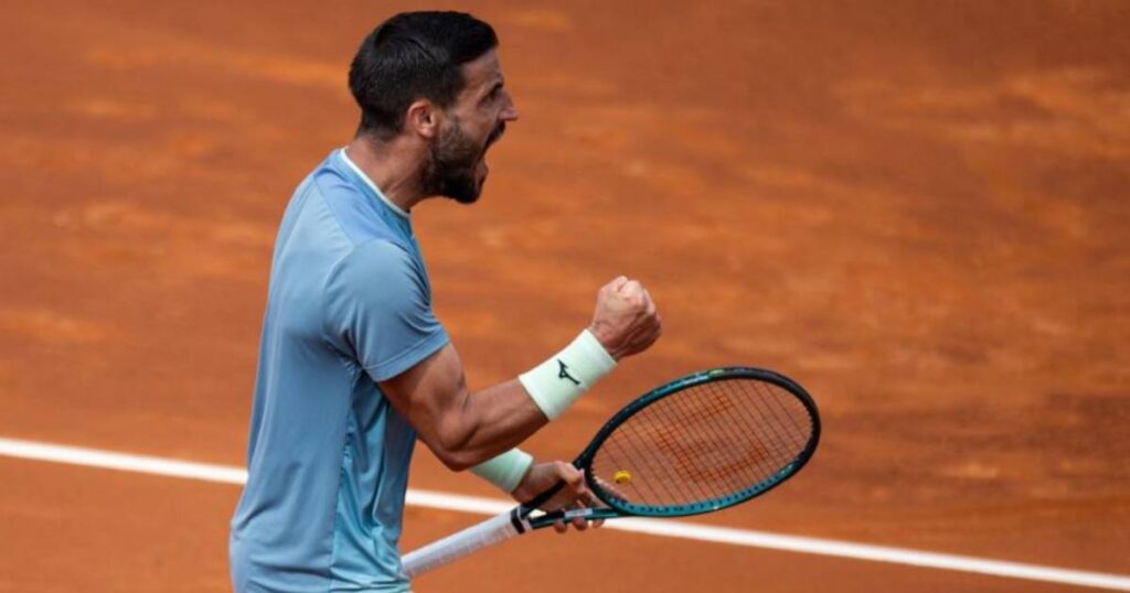 damir džumhur