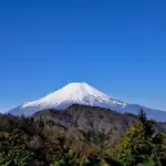 fuji