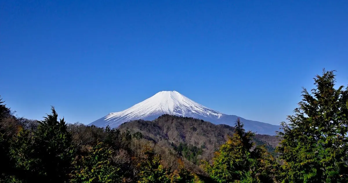 fuji