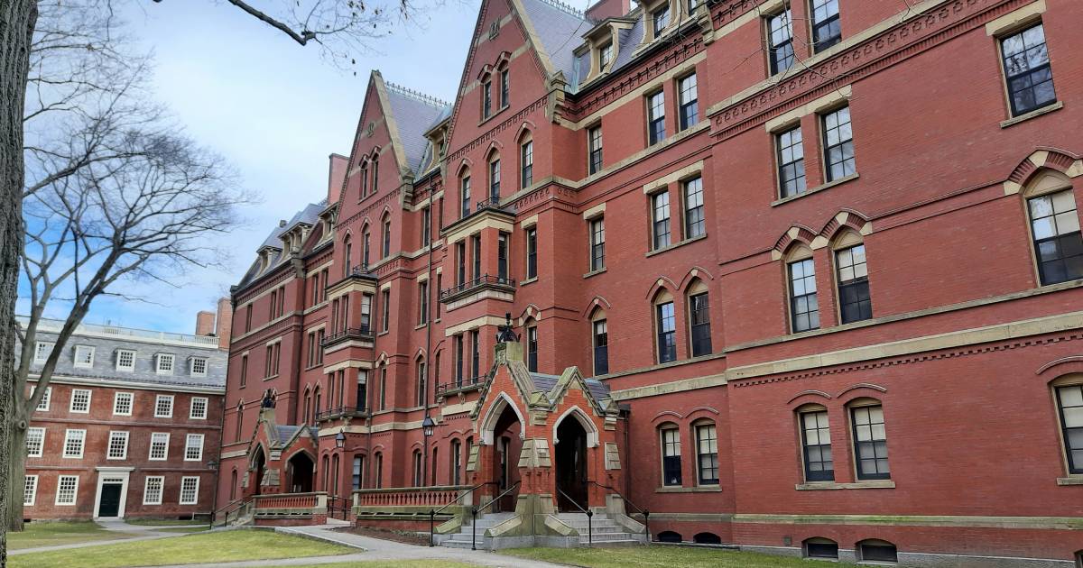harvard univerzitet