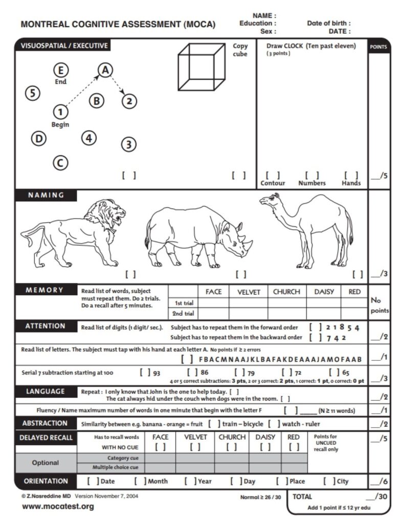 kognitivni test