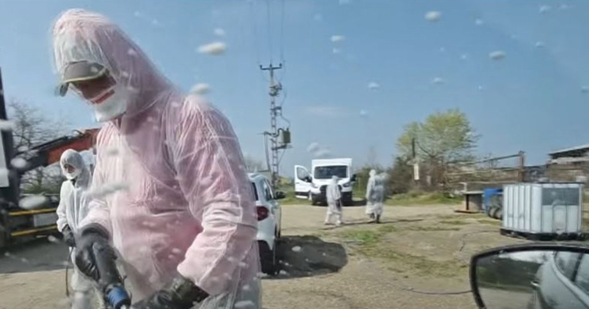bolesti stoke u mađarskoj