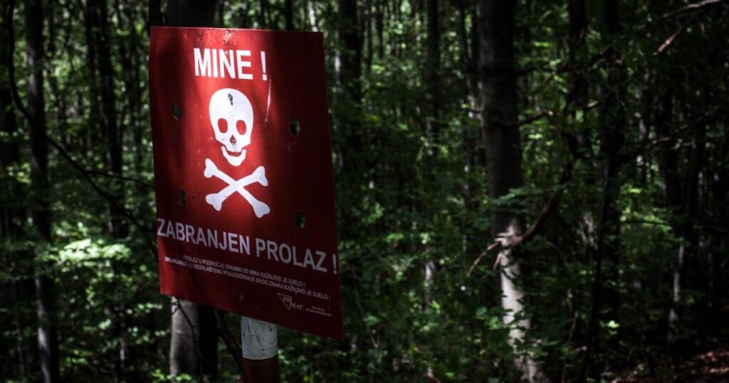 mine