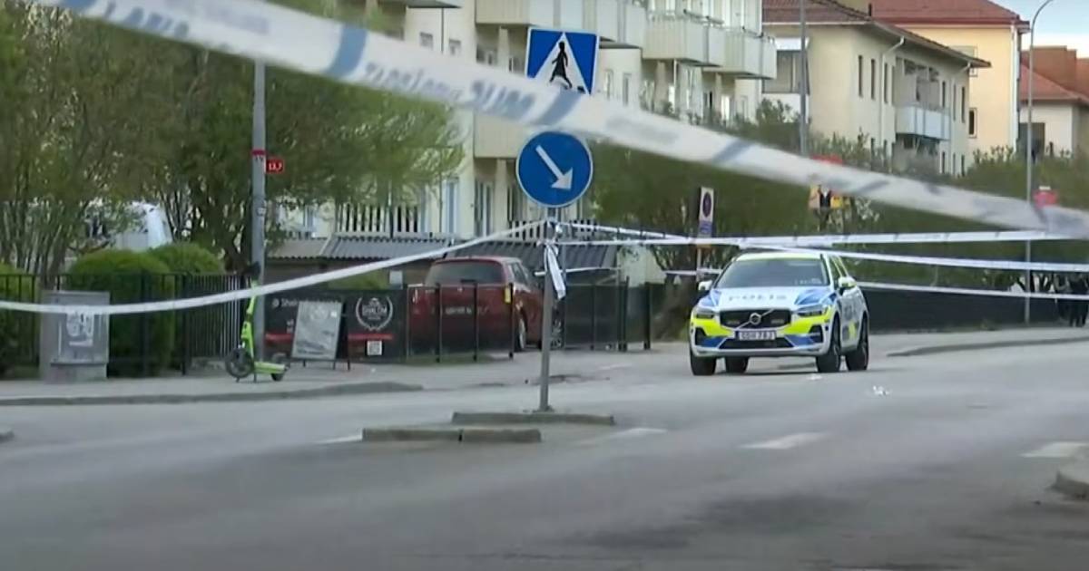 pucnjava svedska policija