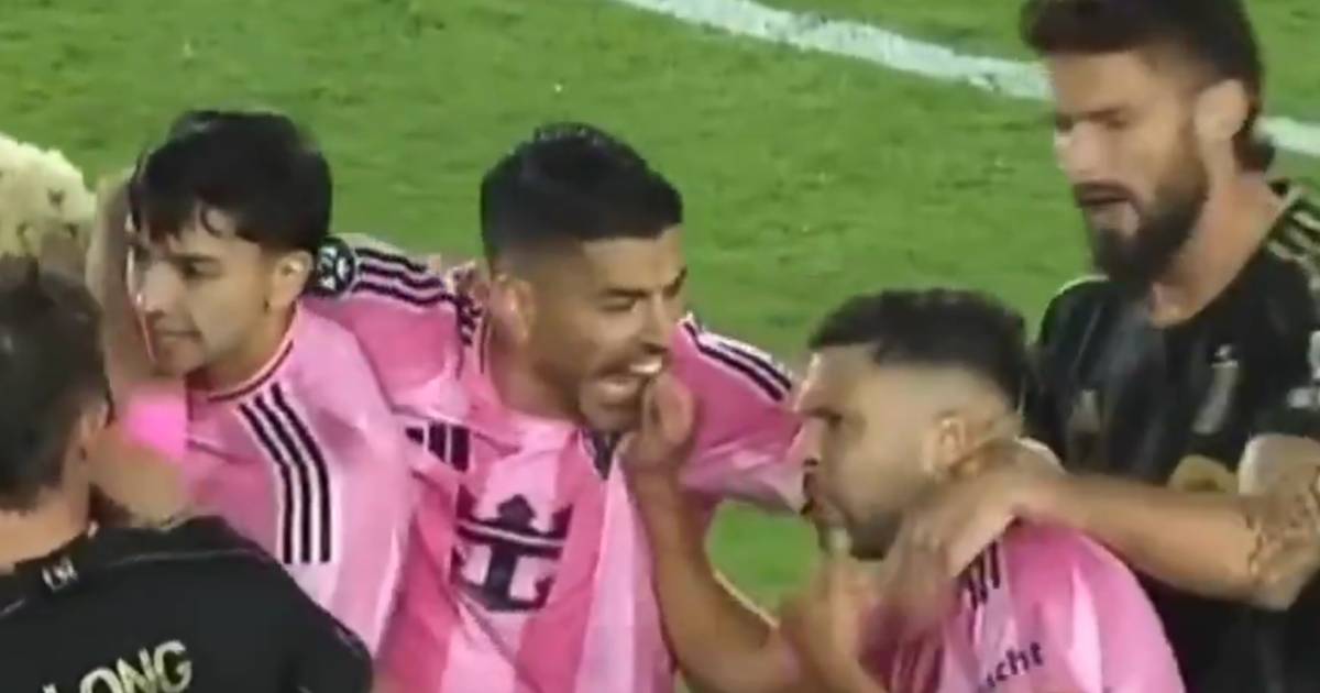 suarez alba