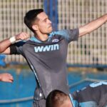 zeljeznicar gosk