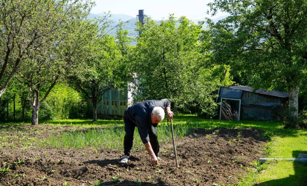 ahmed sisic tetovo