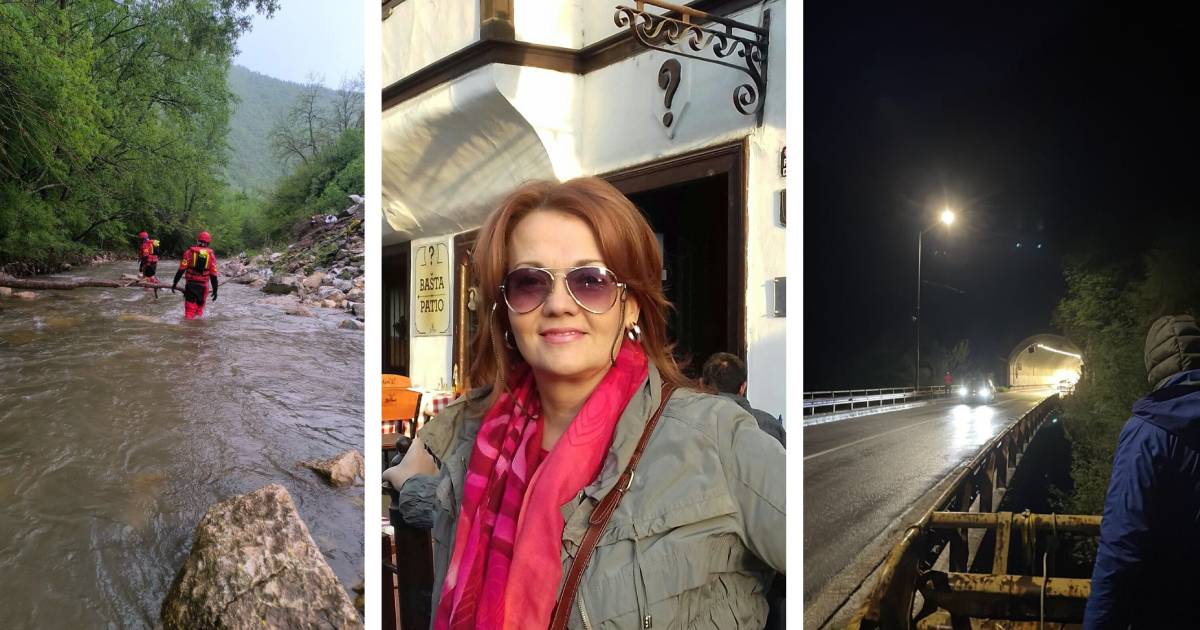 arijana ljuca potraga