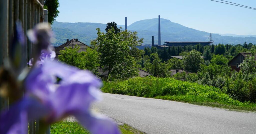 cvijet arcelormittal zenica