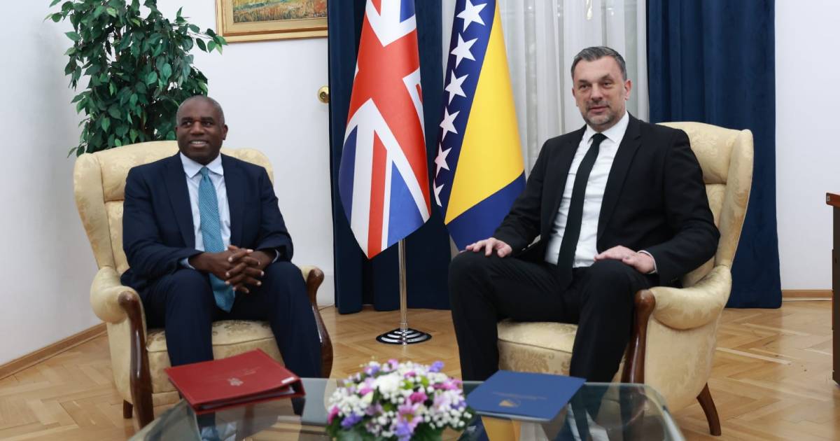 david lammy elmedin konakovic