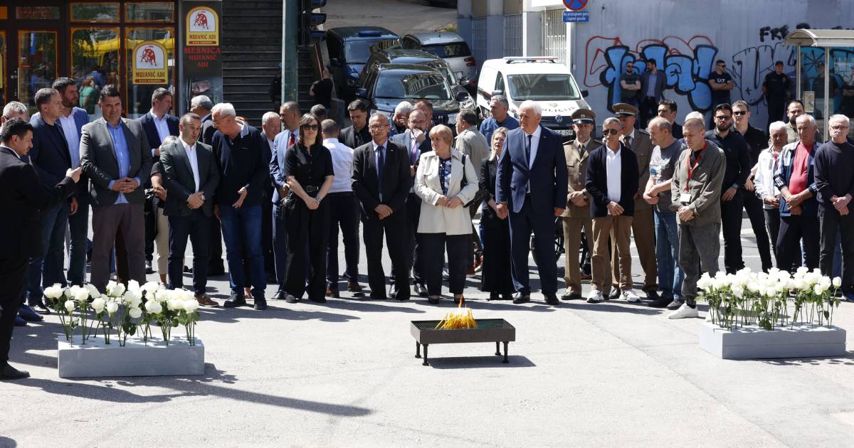 delegacija rs dobrovoljacka