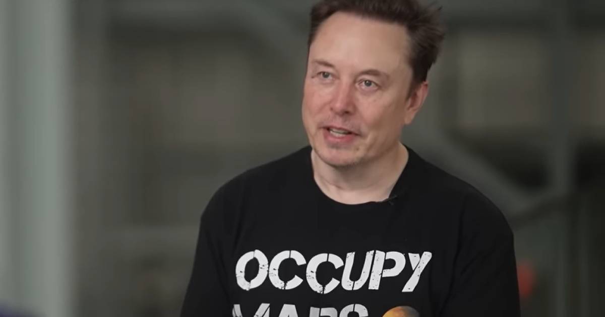 elon musk