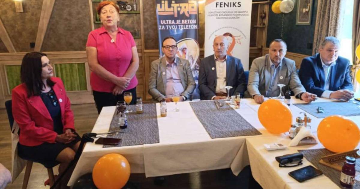 feniks ms