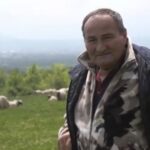 pala prodaja janjadi