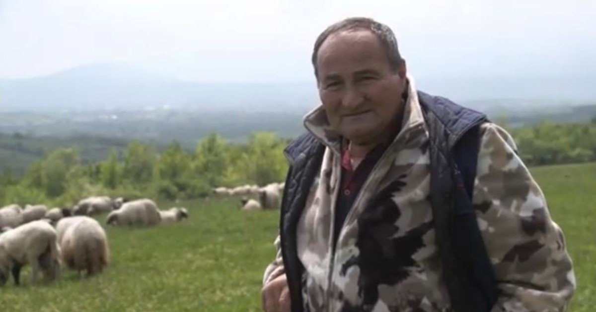 pala prodaja janjadi