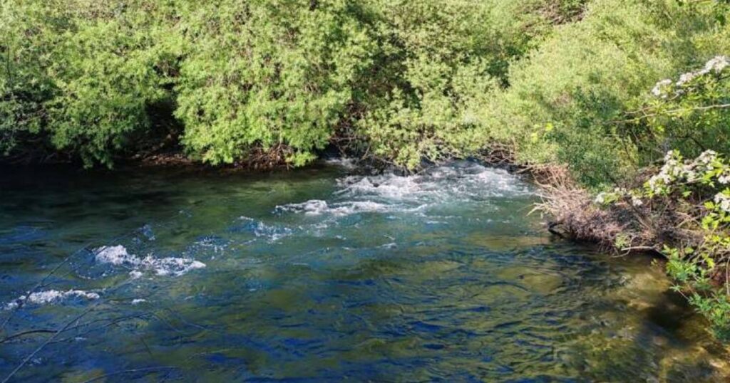 krka martin brod