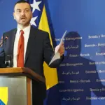 magazinovic kojovic