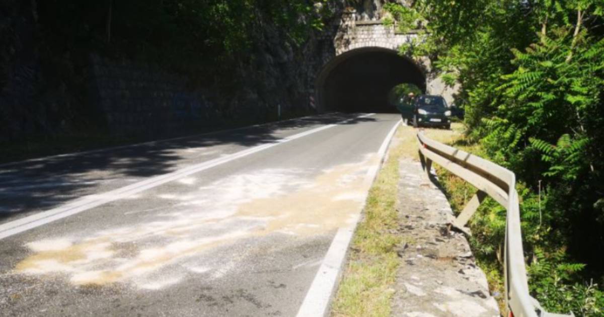 nesreca hercegovina sevas